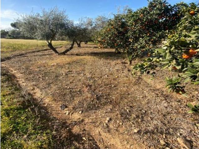 Casa en venta en San Vicente Del Raspeig, Les Escoles-Lo Ramos