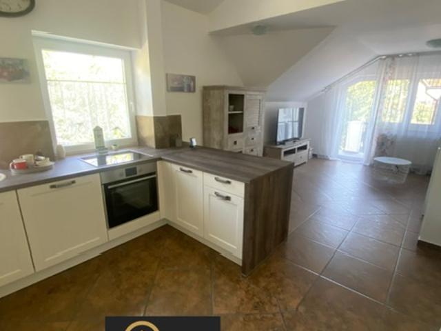 Apartament închirieri în Calomfiresti, Teleorman