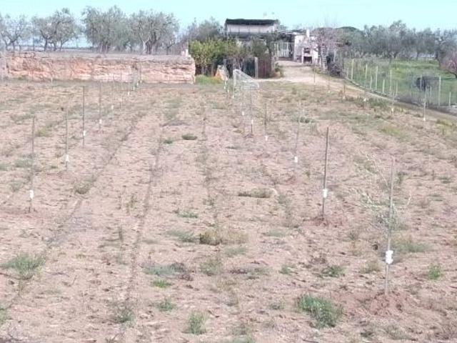 Terreno in vendita a Puglia, Barletta-andria-trani