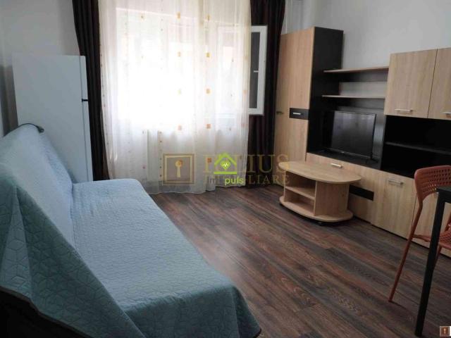 Apartament închirieri în Timisoara, Timiș