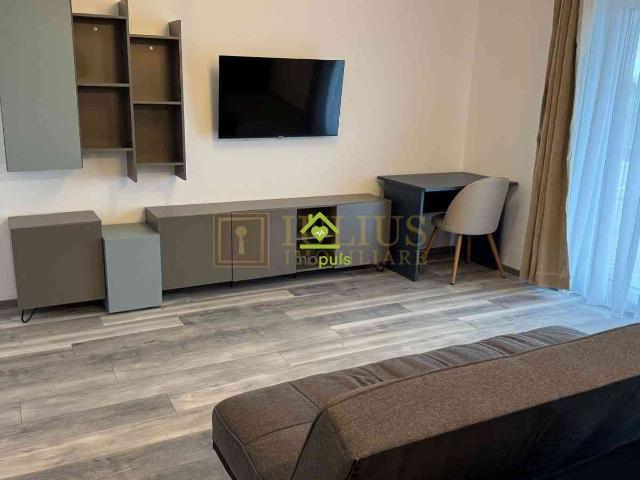 Apartament închirieri în Timiș