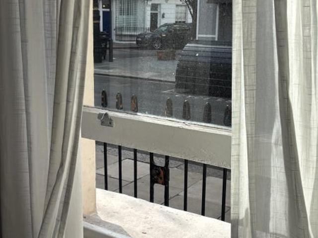 Studio for rent in Tachbrook Estate, Greater London