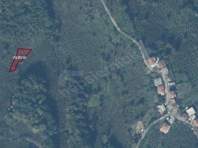 Alapli, Zonguldak içerisinde satılık Arsa