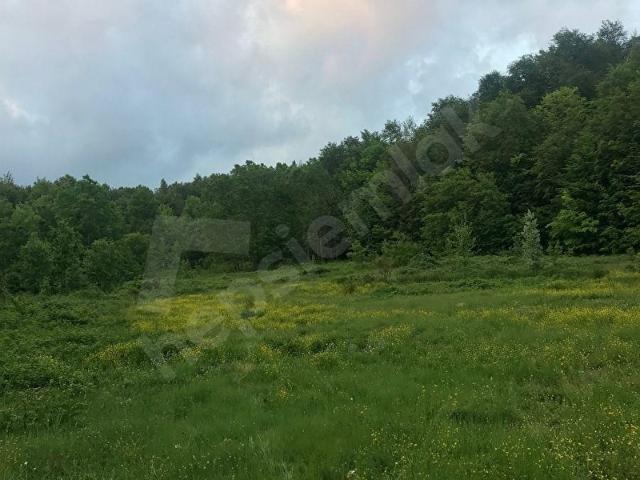 Zonguldak Merkez, Zonguldak içerisinde satılık Arsa