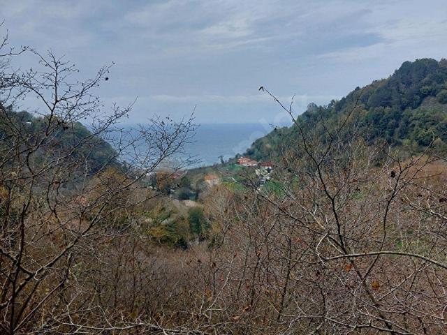 Ereğli, Zonguldak içerisinde satılık Arsa