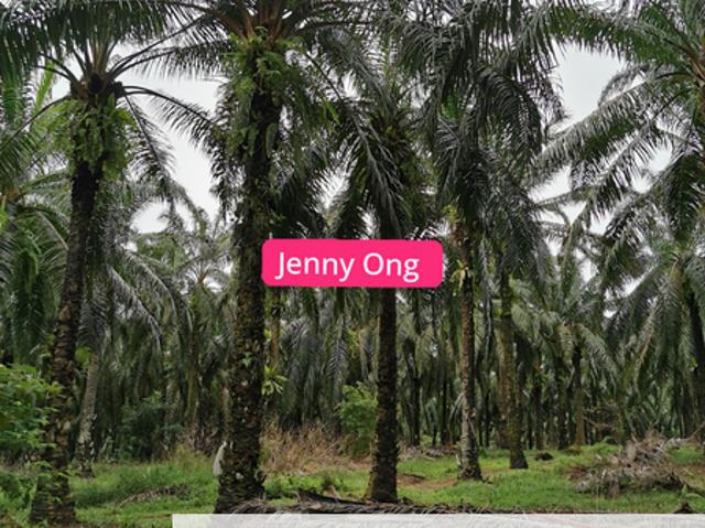 House for sale in Kuala Muda, Kedah