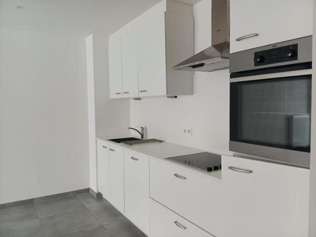 Kot location à Antwerpen