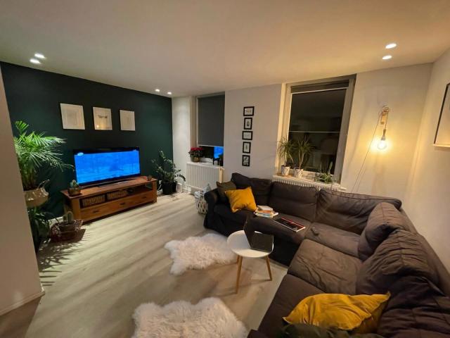 Kot location à Seefhoek-Stuivenberg, Antwerpen