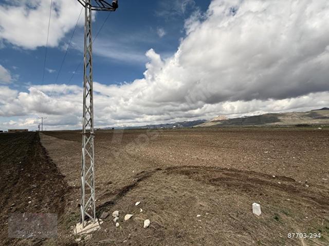 Aşkale, Erzurum içerisinde satılık Arsa