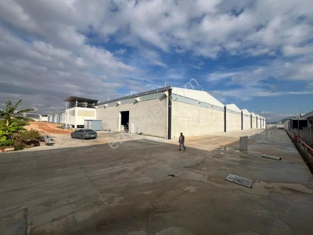 Sariçam, Adana içerisinde kiralık Depo