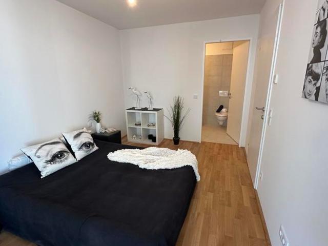 Wohnung mieten in Seestadt, Wien