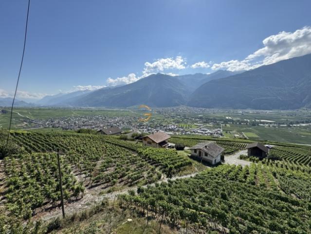 Einfamilienhaus kaufen in Dugny, Leytron, Wallis