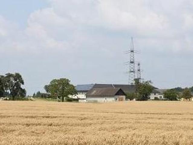 Haus kaufen