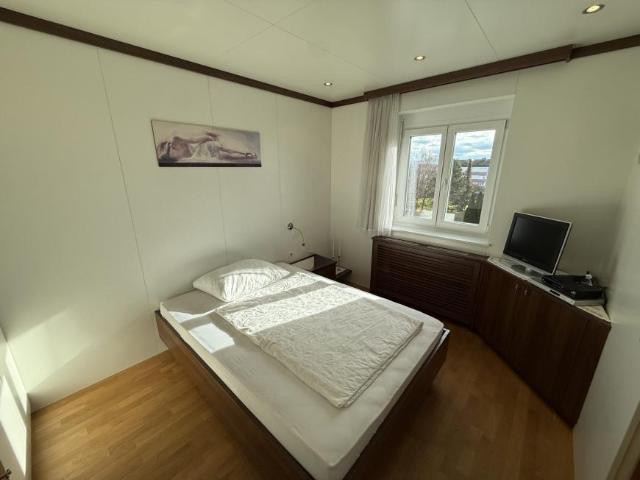 Wohnung kaufen in Katastralgemeinde Horn, Horn