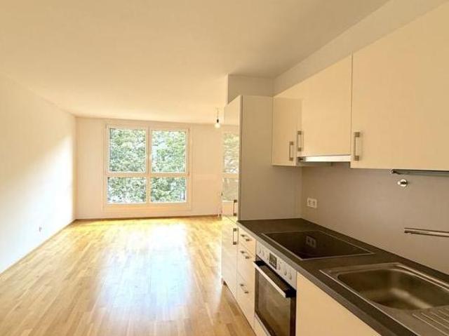 Wohnung kaufen in Innere Stadt, Wien