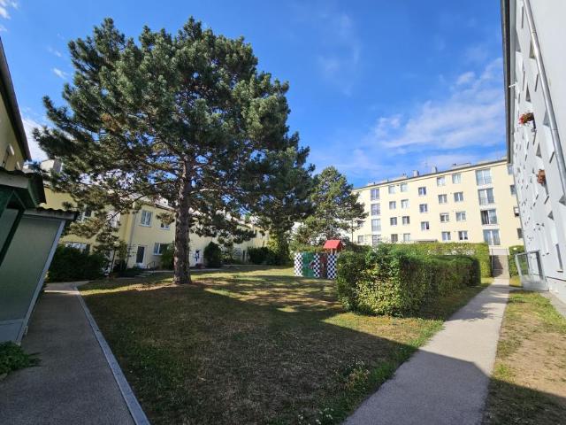 Haus kaufen in Katastralgemeinde Hinterbrühl, Hinterbrühl