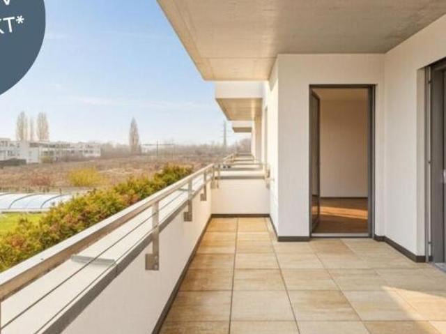 Wohnung kaufen in Wiener Neustadt, Niederösterreich