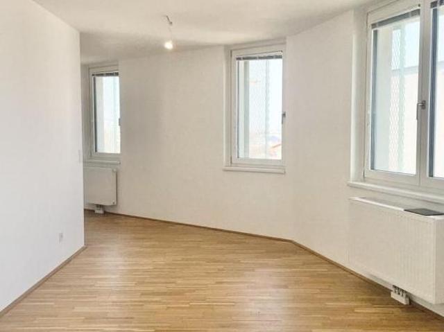 Wohnung kaufen in Innere Stadt, Wien