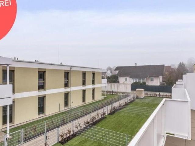 Gewerbe kaufen in Katastralgemeinde Gainfarn, Bad Vöslau