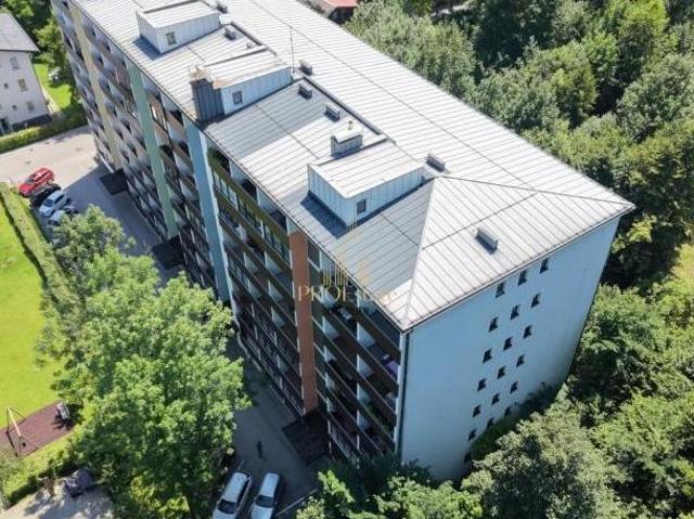 Wohnung kaufen in Steinbruch, Ahorn