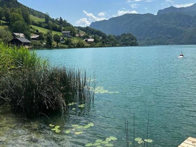 Wohnung kaufen in Alm, Regau