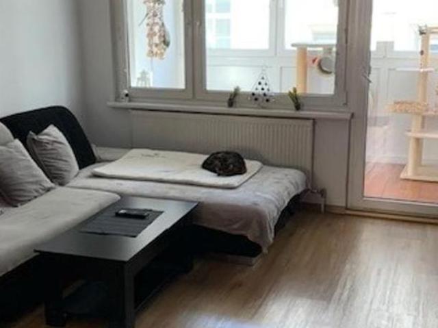 Wohnung kaufen in Innere Stadt, Wien