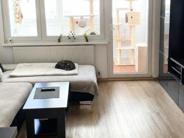 Wohnung kaufen in Innere Stadt, Wien
