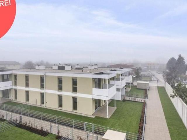 Gewerbe kaufen in Katastralgemeinde Gainfarn, Bad Vöslau