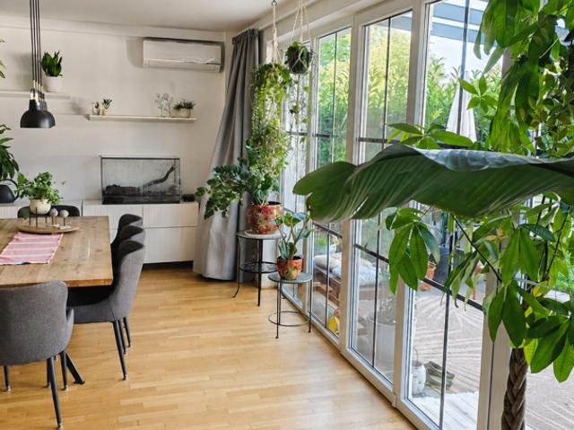 Wohnung kaufen in Bisamberg, Niederösterreich