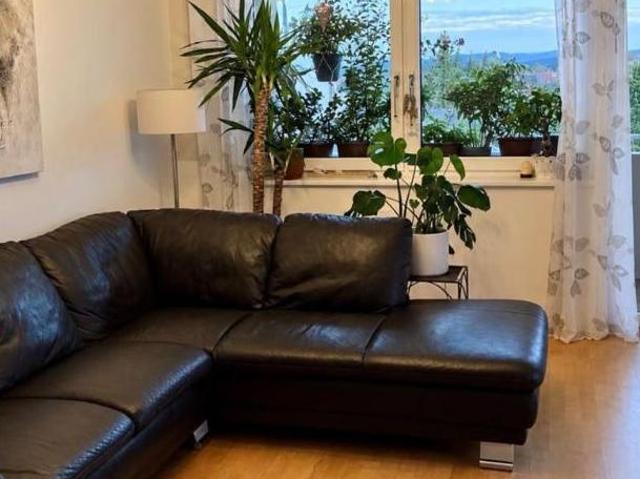 Wohnung kaufen in Kaindorf an der Sulm, Leibnitz