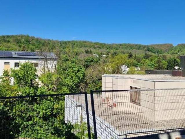 Wohnung kaufen in Innere Stadt, Wien