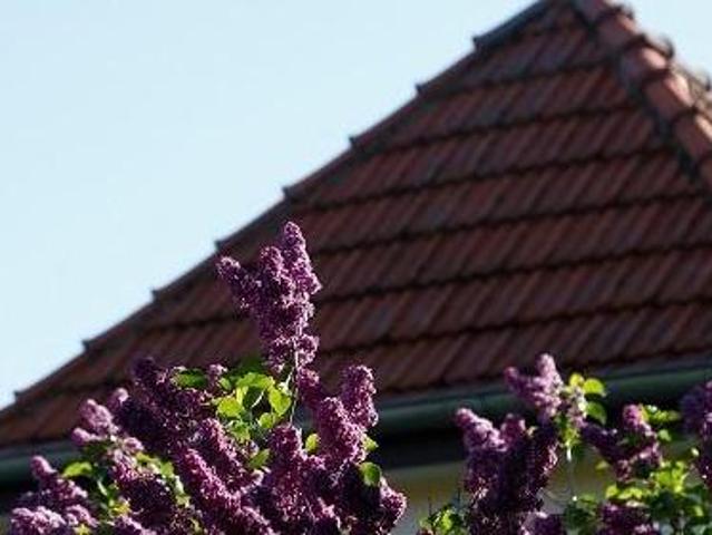 Haus kaufen in Mellau, Vorarlberg