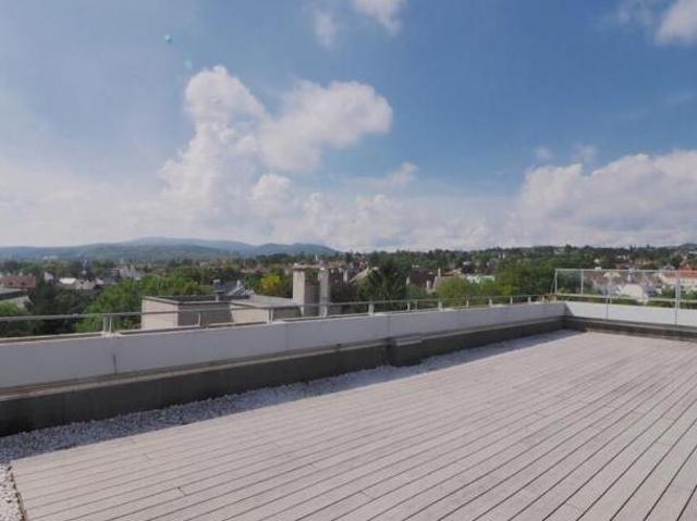 Wohnung kaufen in Brunn am Gebirge, Bezirk Mödling