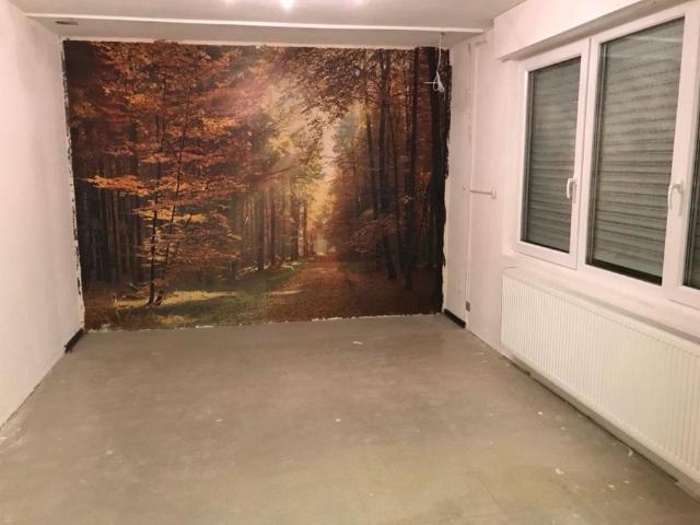 Wohnung kaufen in Groß-Zimmern, Hessen