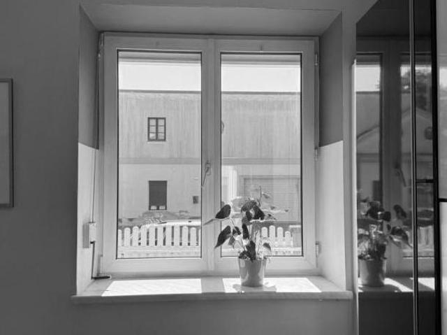 Wohnung kaufen in Schöffelstadt, Mödling