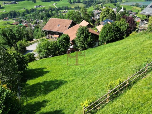 Immobilie kaufen in Rossinière, Waadt
