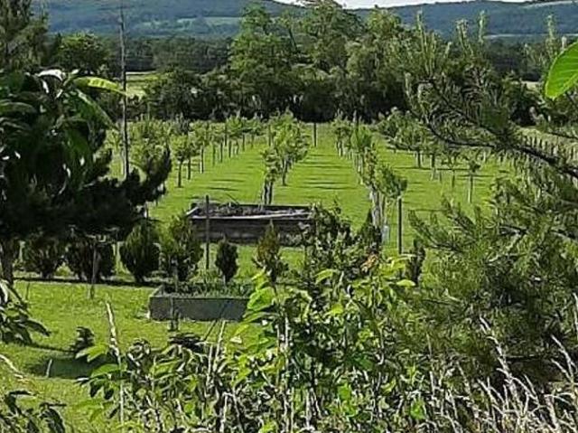 Gewerbe kaufen in St. Margarethen im Burgenland, Burgenland