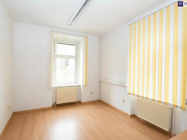 Gewerbe kaufen in Leoben