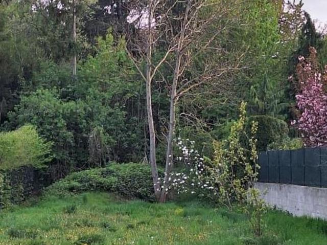 Gewerbe kaufen in Baden, Niederösterreich