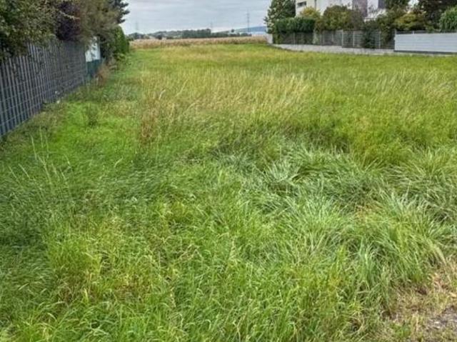 Gewerbe kaufen in Korneuburg, Niederösterreich