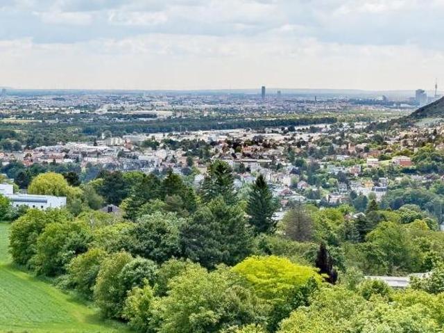 Gewerbe kaufen in Weidling, Klosterneuburg