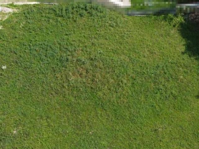 Gewerbe kaufen in Loich, Niederösterreich