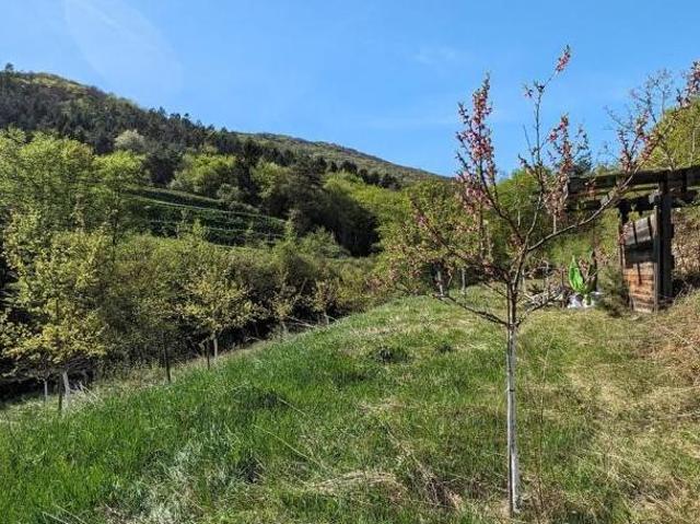 Gewerbe kaufen in Katastralgemeinde Weißenkirchen, Weißenkirchen in der Wachau