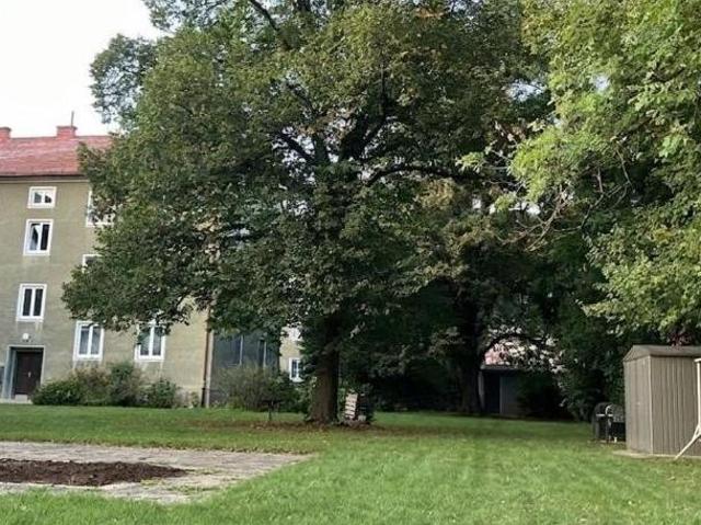 Gewerbe kaufen in Deutschwald, Purkersdorf