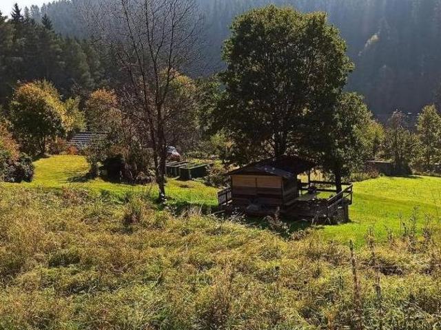 Gewerbe kaufen in Unternberg, Neufelden