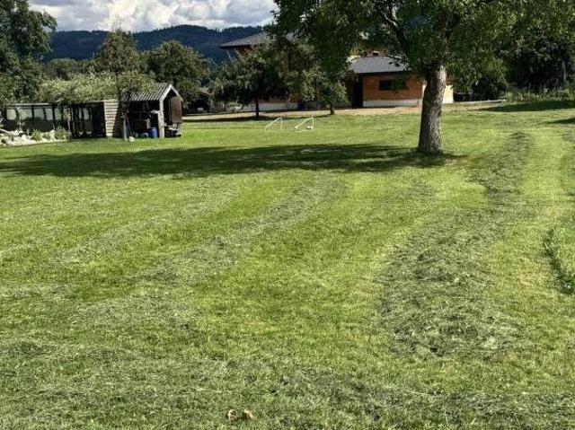Gewerbe kaufen in Alm, Regau