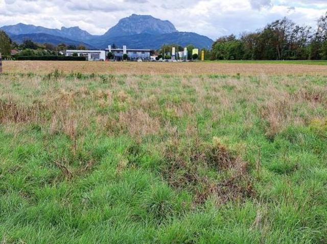 Gewerbe kaufen in Laakirchen, Oberösterreich