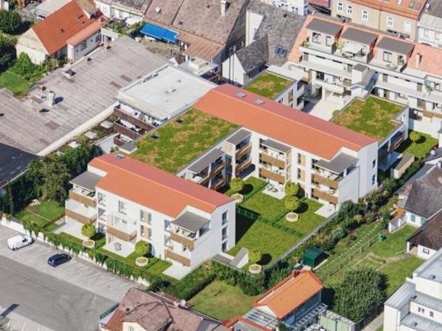 Gewerbe kaufen in Kaindorf an der Sulm