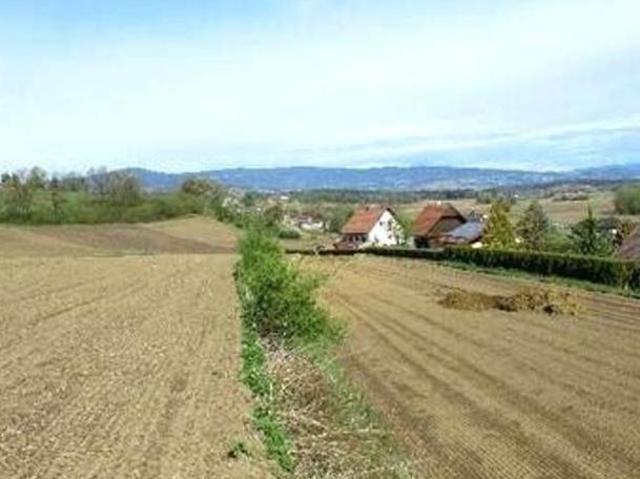 Gewerbe kaufen in Groß St. Florian, Steiermark