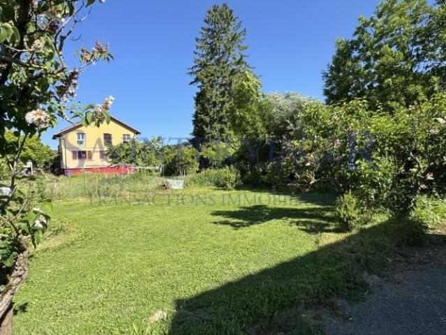 Haus kaufen in Eclépens, Waadt